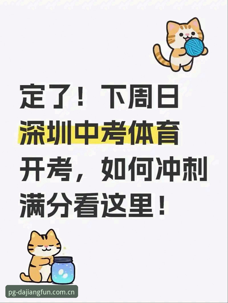大江体育怎么下载使用指南：2025最新版本深度解析与老用户实操经验分享